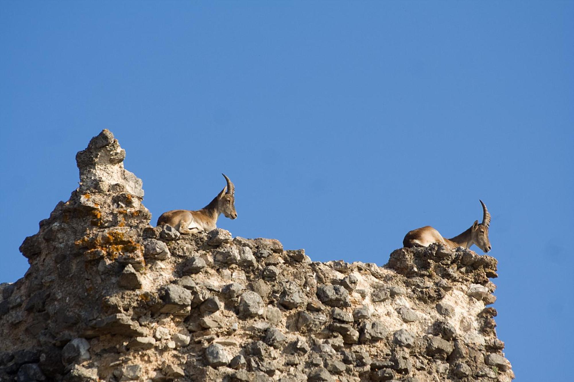 Los Huertos De Segura Segura de la Sierra Esterno foto