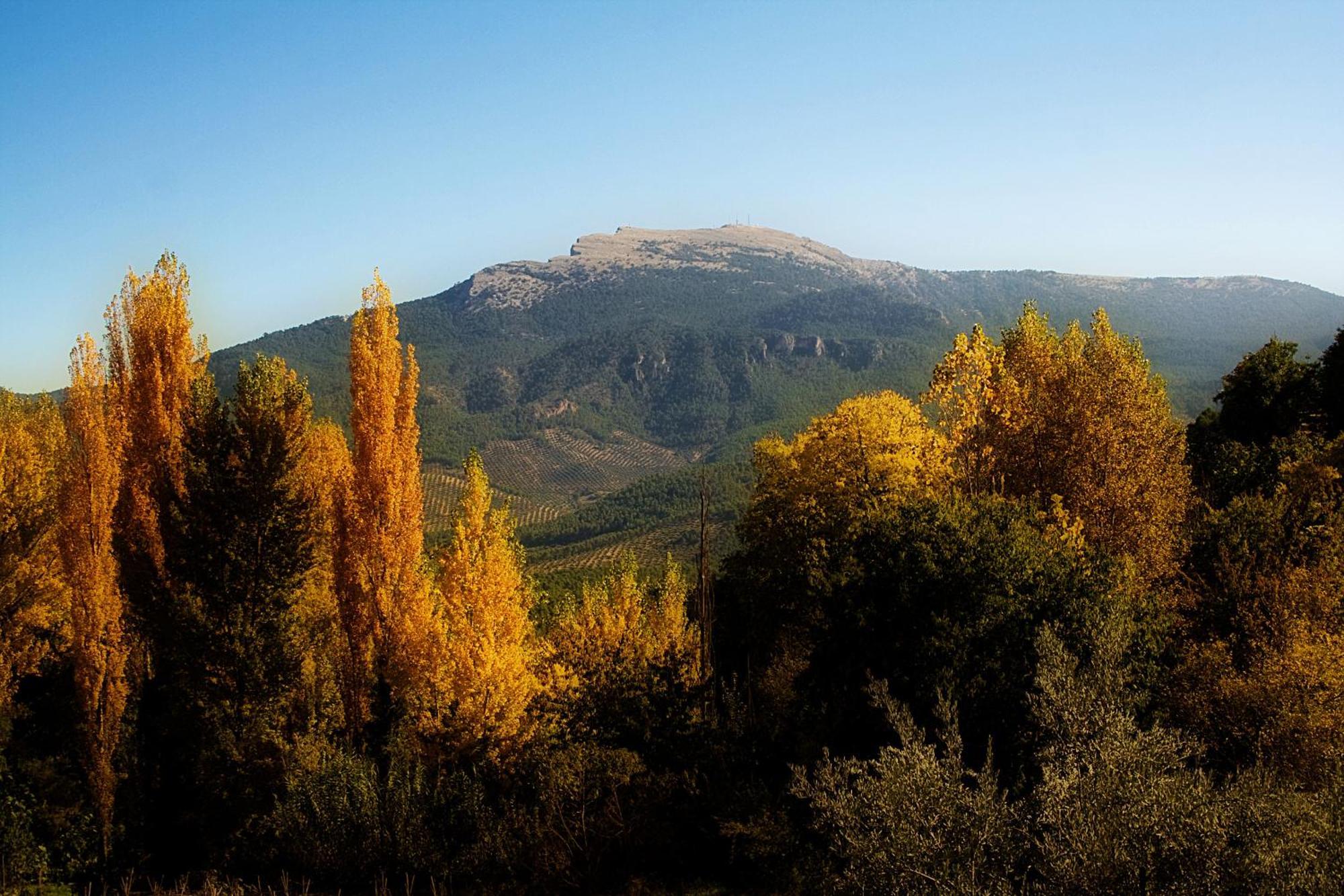Los Huertos De Segura Segura de la Sierra Esterno foto